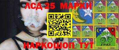 дмт Сланцы