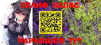 дмт Сланцы