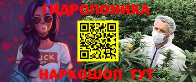 дмт Сланцы