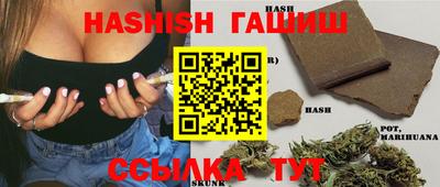 дмт Сланцы